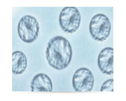 混凝土泵车多少钱一台,属猴白羊座和属蛇巨蟹座爱情运势分析会恩爱吗