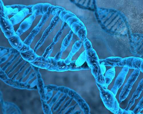 香港验血结果满D,43岁高龄试管微刺激方案要连续取多少个卵才合适?