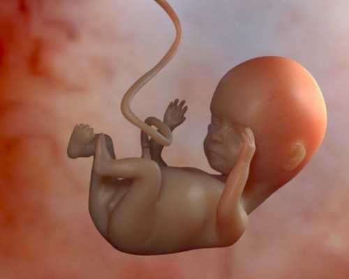 怀孕多久可以香港验血,合肥省立医院有没有卵子库?会收购卵子吗?做供卵试