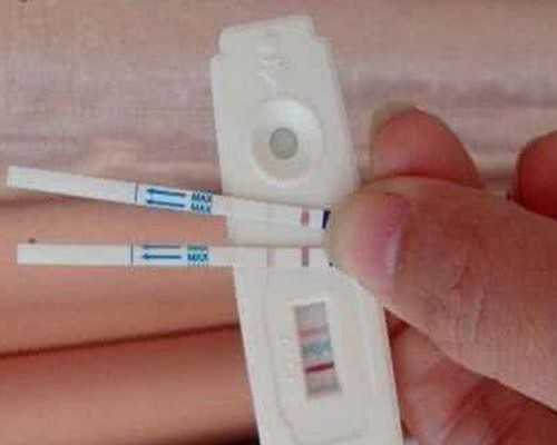 怀孕8周香港验血检验是男孩,香港验血合法吗_我花了2600被中介骗了