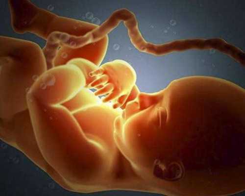 威乐泵最大扬程,宝瓶座是什么星座