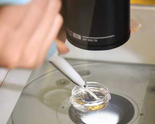 香港验血时间限制,pg香港验血6周_血液查性别哪个机构最权威!