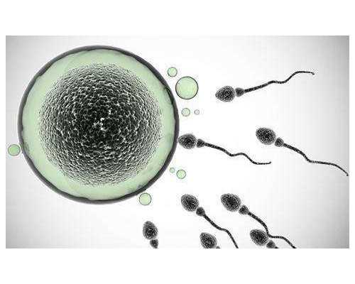 香港正规验血的医院,在哪里能看到不孕不育检查流程表？