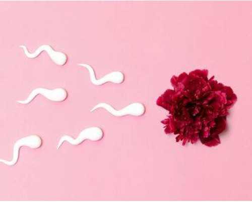 香港验血男女视频,大宝女儿，二胎顺其自然备孕，收获健康男宝宝，浅谈男宝