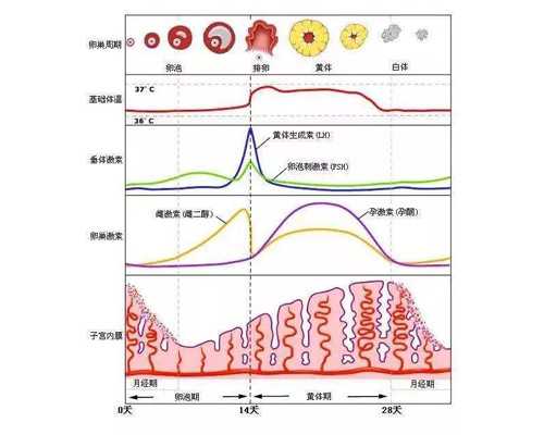 香港验血9周可以吗,试管婴儿能选男女吗？北京试管婴儿医院哪家好