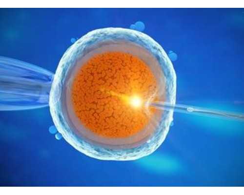 在香港验血男女准不准,备孕妈妈如何保证孕期营养均衡?几个菜谱简单易学,