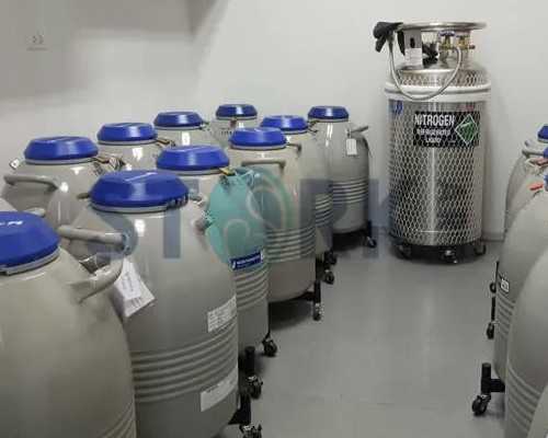 香港验血如何快递,双侧巧囊需要先手术再试管婴儿吗做试管成功率高吗