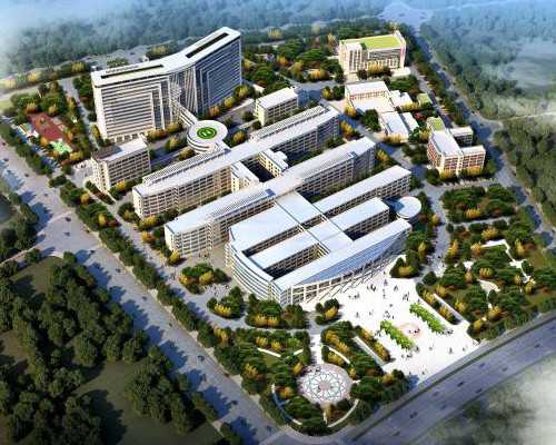 香港 验血 性别鉴定,试管双胎胎盘前置是什么原因