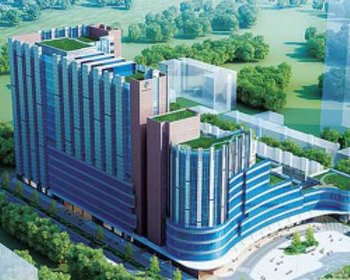 刚好满7周可以香港验血吗,在香港验血男女时间是多久?最关键的流程都在这里