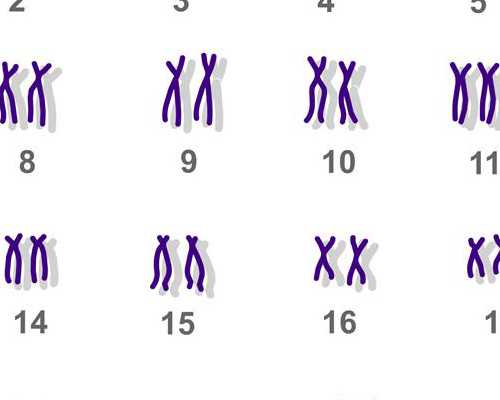 一体化预制泵站,春夏六种减肥方法大比拼