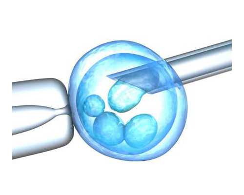 7周香港验血B超,以精彩为话题的作文500字以“精彩”为话题写一篇作文
