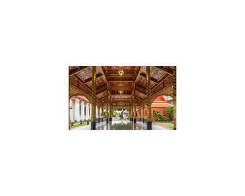 离心泵的特点有哪些,OL瘦身又养身双管齐下