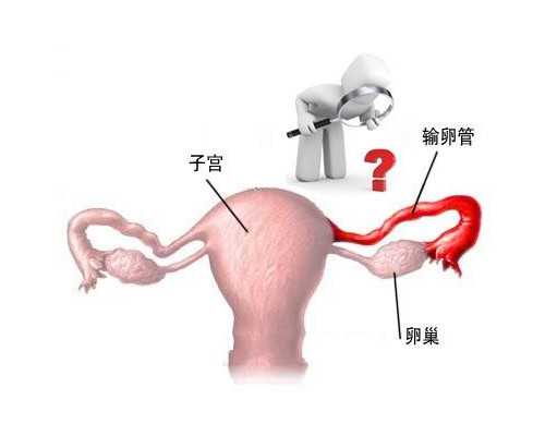 怀孕8周还能香港验血,备孕盲信早孕试纸不可取