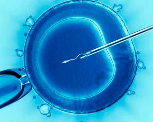 香港验血看男女 准吗,10周可以香港验血吗_验血查性别需要什么条件