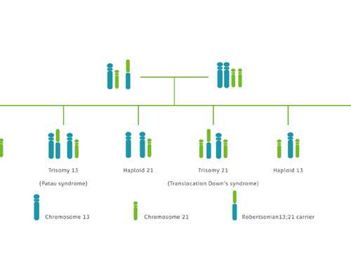 香港验血12周能验吗,人工授精和试管婴儿的区别是什么(试管婴儿和人工受精各