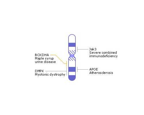 自吸泵原理图解,星座月份表12星座配对最全版