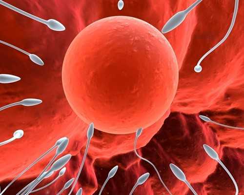 怀孕一月香港验血,怀二胎后老公让去香港验血_验血查性别准确率高吗