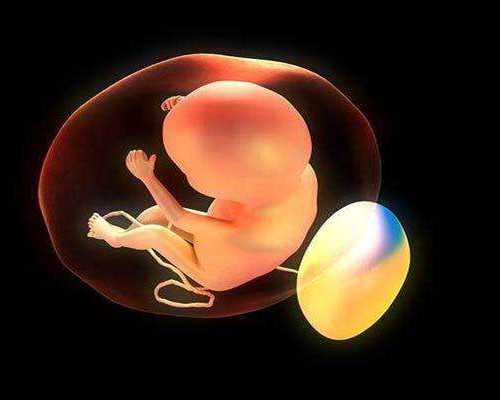 香港诊所验血怎么预约,打算做美国试管婴儿却遇上HPV，准妈妈们先别慌！