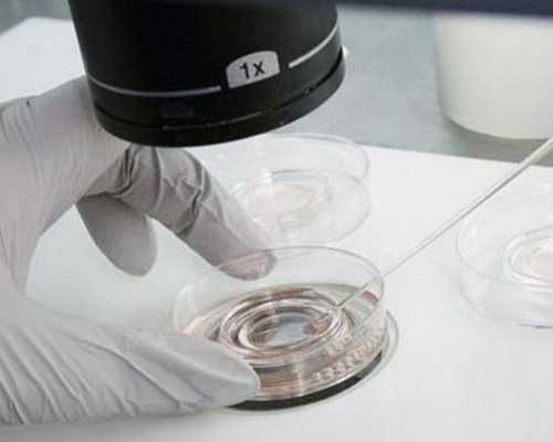 香港验血化验单没有名称和电话,深圳妇幼试管是几代 基础卵泡少做试管如何实