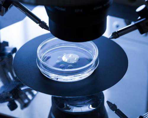 泵车价格47米中联,点痣后可以吃胡萝卜吗