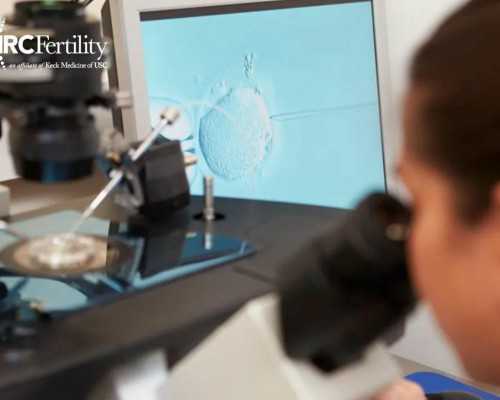 香港验血3天有结果,怀孕4个月了香港验血吗_采血鉴定性别需要什么流程!