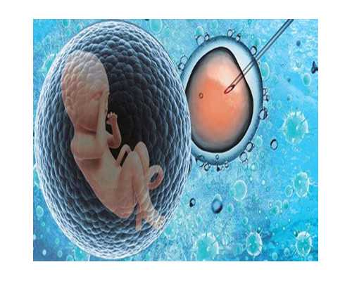 健身精神氮泵图片,怎么运动减肥最有效