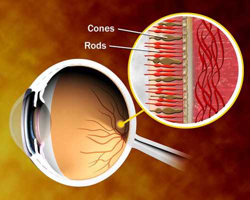 邮寄香港验血怎么邮寄啊,子宫内膜受容性和泰国试管成功率有什么关系
