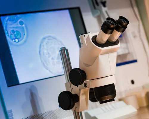 香港验血测胎儿性别报告怎么看,【备孕前吃什么调理身体】备孕前吃什么可以