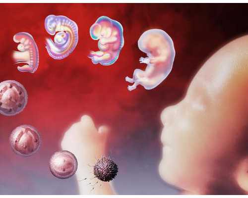 香港验血寄血管可以打开不,香港验血6周准吗有胎心_亲身经历告诉你最全流程