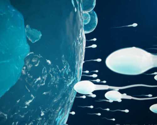 氧气泵原理不提供二氧化碳吗,移植后三四天恶心正常吗