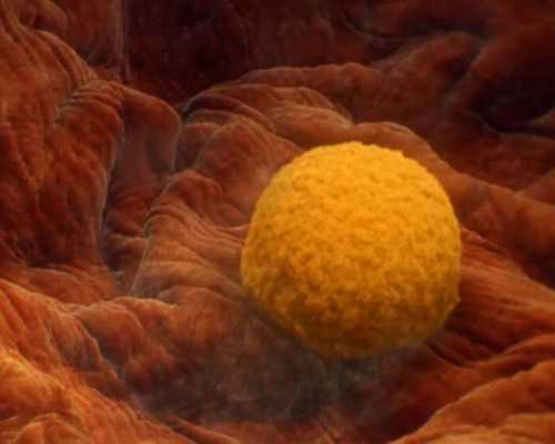 香港验血6周3mm,艾灸助孕排卵期前灸吗