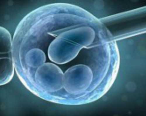 胰岛素泵的使用ppt,梦见饭