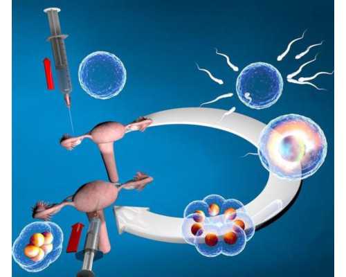 香港验血寄血液的流程,去香港验血查胎儿性别要多大才能验_多少周可以香港验