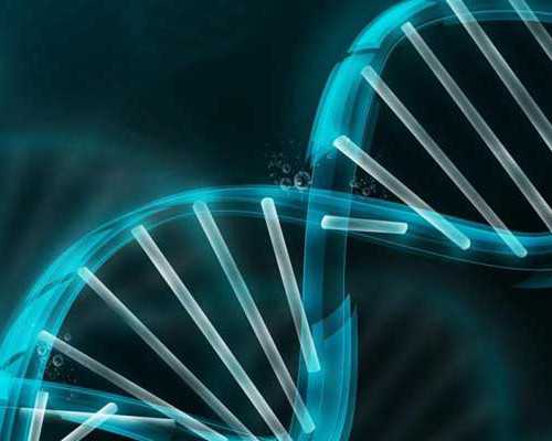 怀孕13周香港验血准吗,给准备去香港验血的朋友_查男女大概需要多少钱