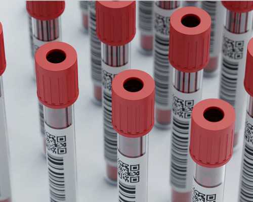 香港妇幼验血准吗,在河北的公立医院做供(借)卵试管婴儿的卵子捐赠者都是些什