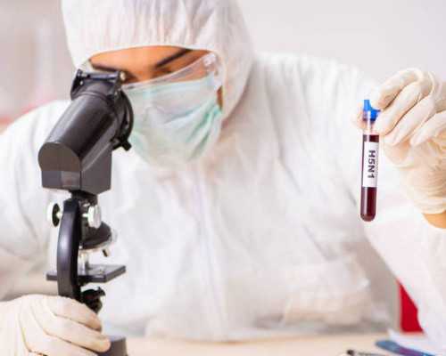 香港验血快递血液安全吗,停经了还有办法能借卵做试管婴儿吗？有费用明细吗