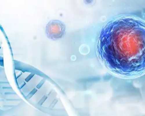 香港验血需一般是几天,怀孕后香港验血,验血结果还有可能翻盘吗?