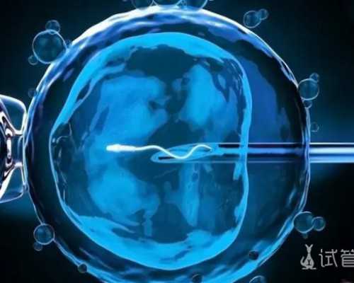 香港验血榆林有中介,男性不孕不育10步排查法是什么包含哪些检查项目