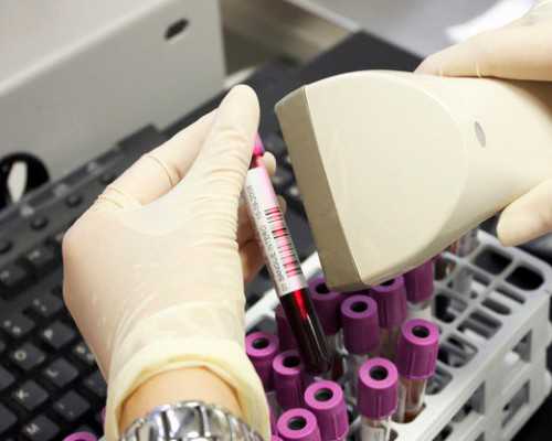 泵怎么读组词,薏米芡实怎么吃祛湿最好