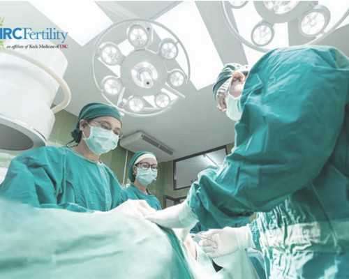 香港验血查男女胎儿要多大才能查,工作压力大,职场女性如何有效备孕?