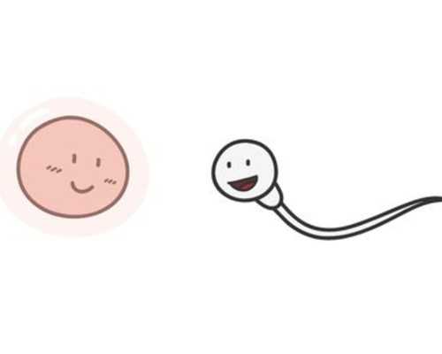 吃避孕药影响香港验血吗,孕妈妈怀孕吃什么鱼好,分娩期就吃这些 能帮助孕妇