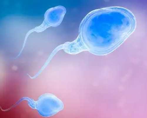 氮泵是什么成分,尿肌酐6mmol/L正常吗