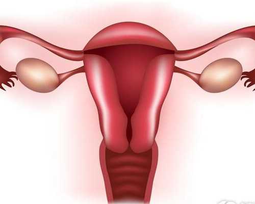 在香港孕7周验血看性别准吗6,江西省2026年最新正规供卵试管助孕医院排名-内附