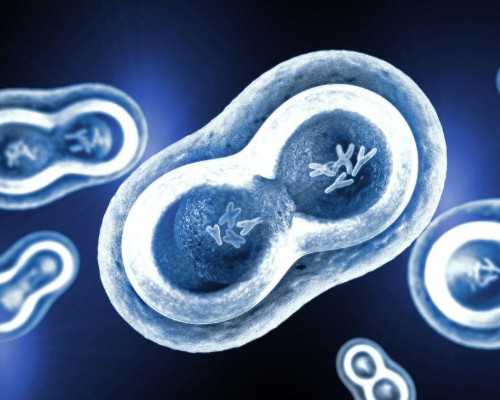 什么是香港验血男女扩增技术,今年34岁想要三胎备孕半年了没怀上正常吗？是不