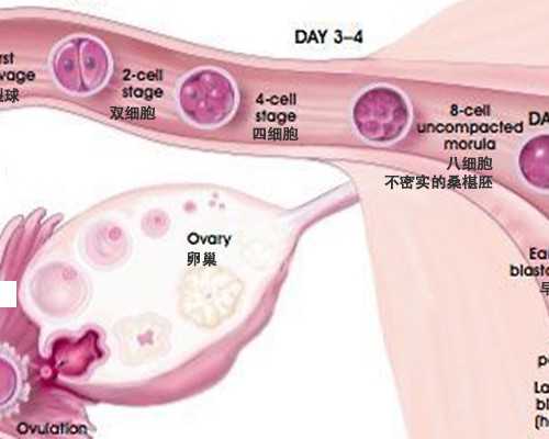 质子泵抑制是什么意思,男性植入假体手术能增大多少