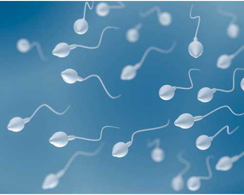 柱塞泵图片与价格,章泽天是什么星座