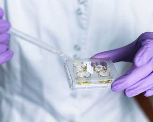 香港验血机构的官网,北京大学第三医院生殖中心助孕技术怎么样?