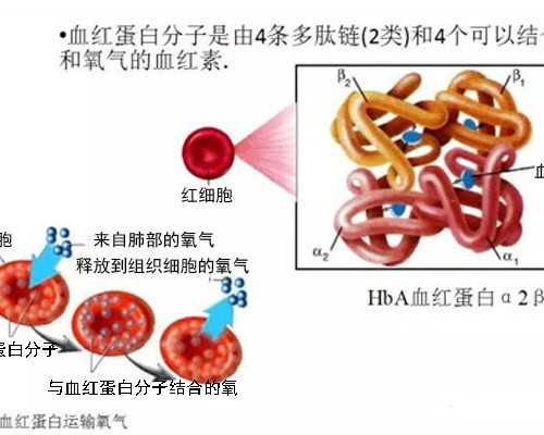 地埋箱泵一体化泵站,每天早上和晚上跑十公里步,10多天大概能减多少啊？