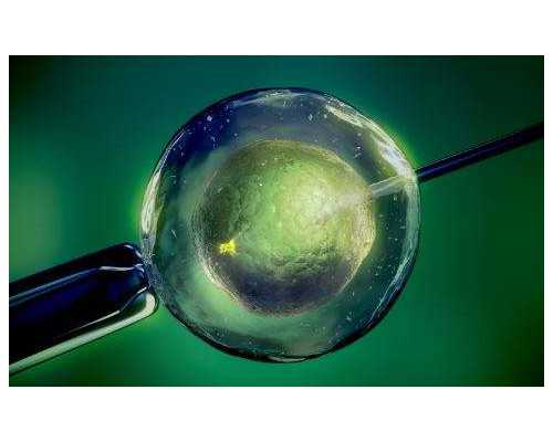 怀孕9周能香港验血吗,备孕能不能吃辣的