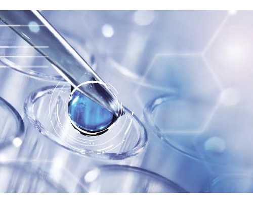 邮寄香港验血流程,沈阳助孕试管专家同样建议试管婴儿准爸爸在备孕期间补充